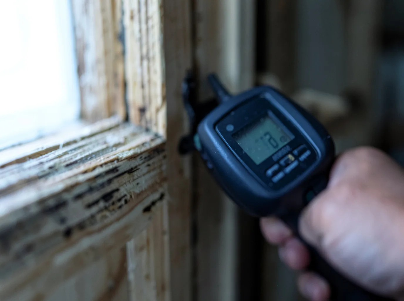 Moisture Inspection And Documentation in Quecreek, PA